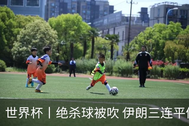 世界杯丨绝杀球被吹 伊朗三连平仍存晋级希望