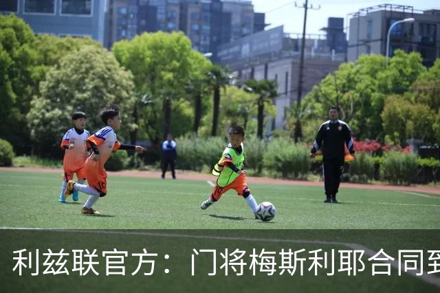 利兹联官方：门将梅斯利耶合同到期离队，曾助球队两夺英冠冠军