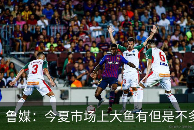 鲁媒：今夏市场上大鱼有但是不多 听说有南方球队会放出几个队员