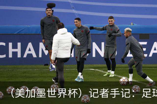 （美加墨世界杯）记者手记：足球世界，规则谁定？